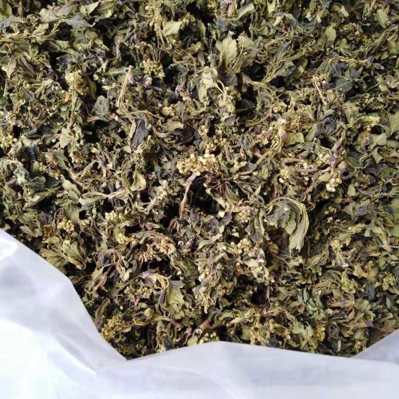 珍珠花菜，珍稀的山野菜。