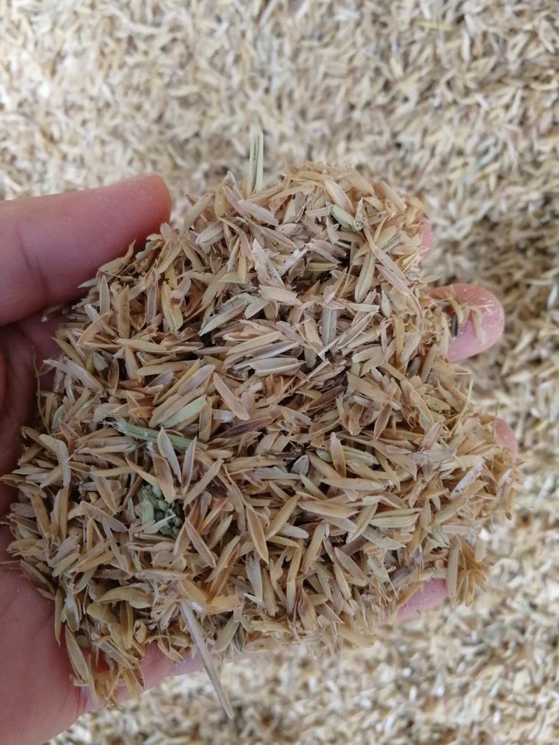 【有好货样品】新鲜稻壳各规格稻壳粉品质保证长期厂价供货