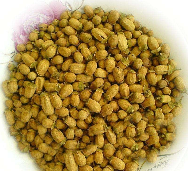 玳玳花，常年批发供应药食同源，玳玳花中药材