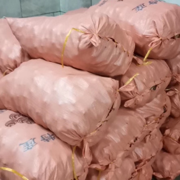 专业做马蹄，供平台，商超，多种装法，满足客户需求！
