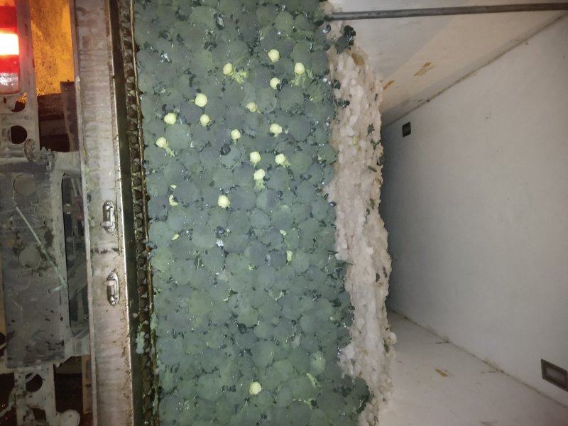 基地大量出售西蓝花