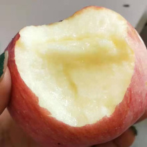 一件代发万荣纸加膜红富士皮薄肉脆一箱十斤包邮