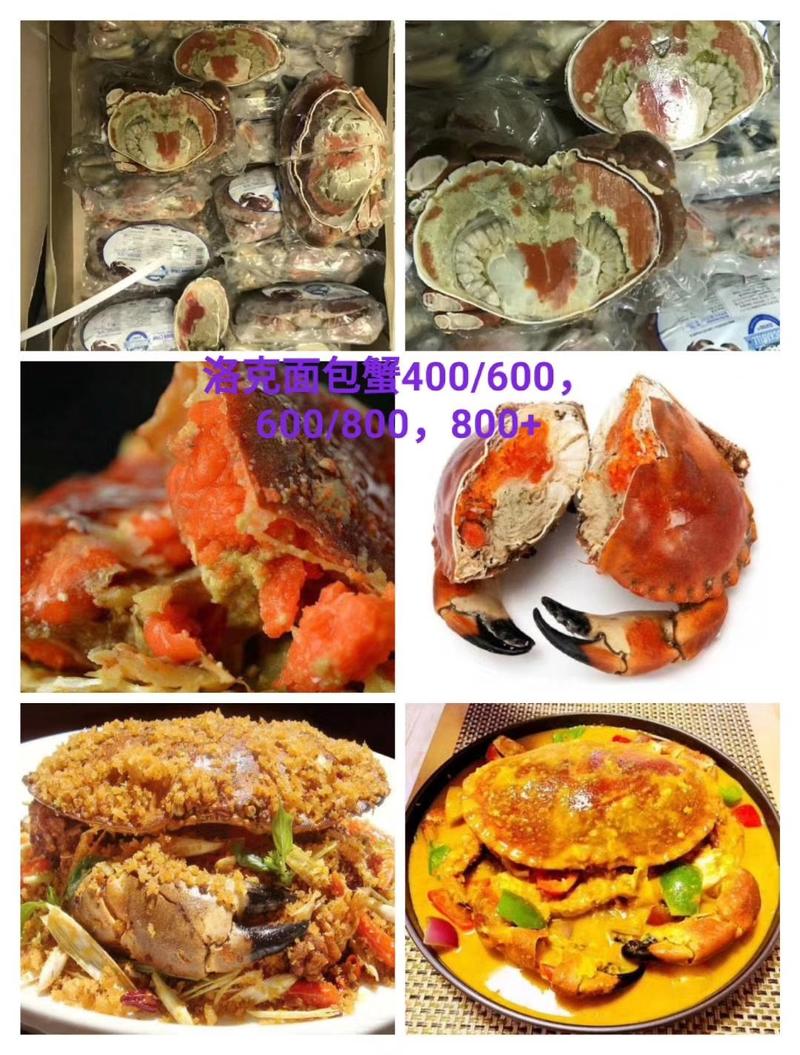 面包蟹，规格齐全，质量保证，正在热销，欢迎联系下单！！