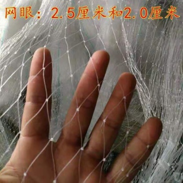 防鸟网聚乙烯材质和尼龙材质齐全防鸟果园池塘均可用