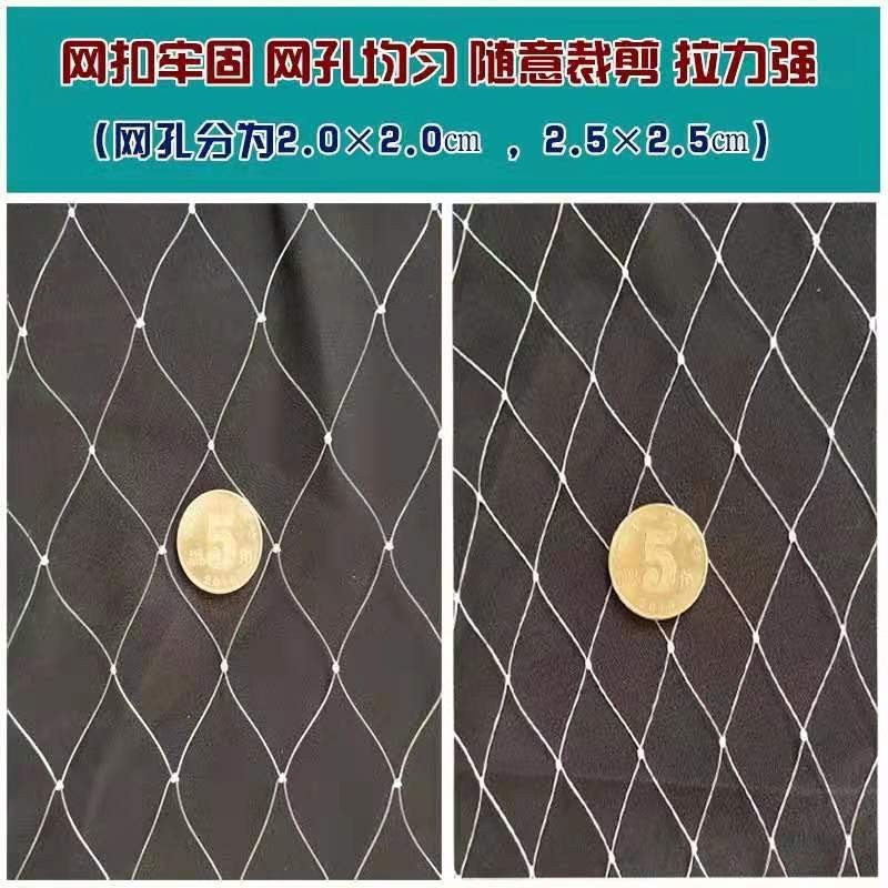 防鸟网聚乙烯材质和尼龙材质齐全防鸟果园池塘均可用