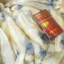 渤海湾大牛舌板鱼干，口感非常好👍