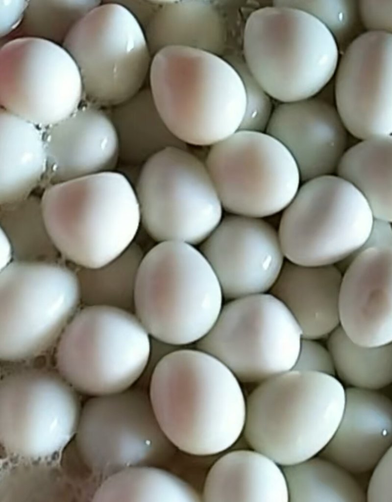 河北扒皮鹌鹑蛋清水鹌鹑蛋绿色食品火锅采用***