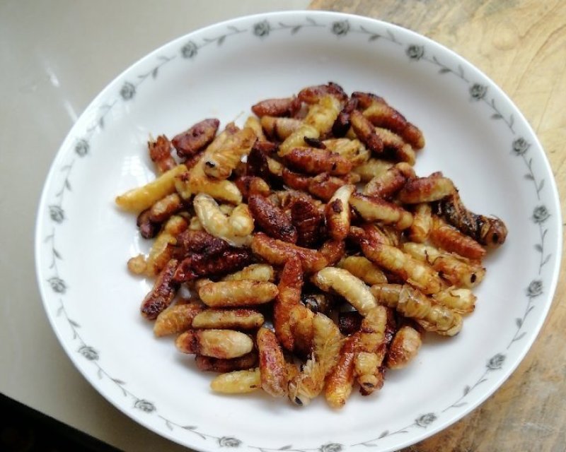 树蜂蛹蜂蛹3级，青边蛹，常年批发零售，期待您的光临