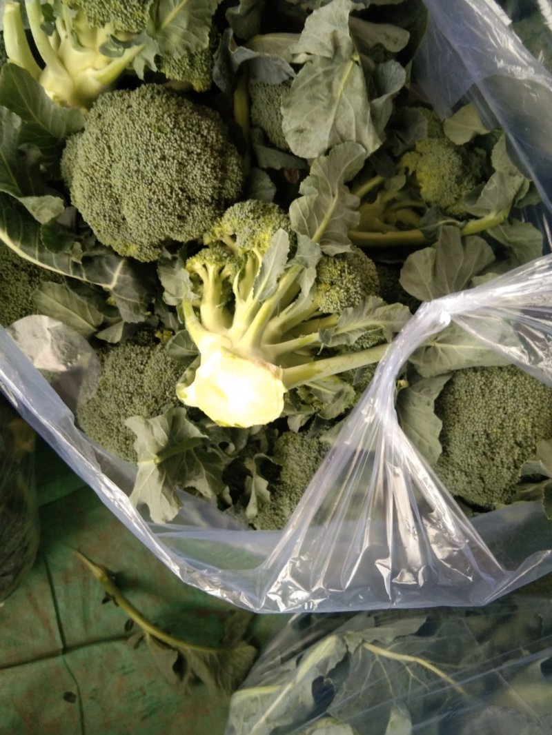 精品西蓝花，质量好，提供各类包装，打包服务，可实地考察，