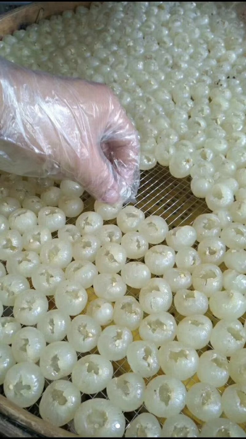 广西桂圆肉，龙眼干，桂圆肉，，，，，，，