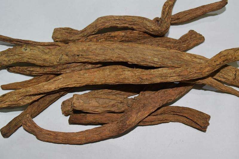 百部，常年批发供应无硫百部中药材，量大从优