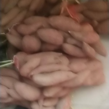 红薯西瓜红，