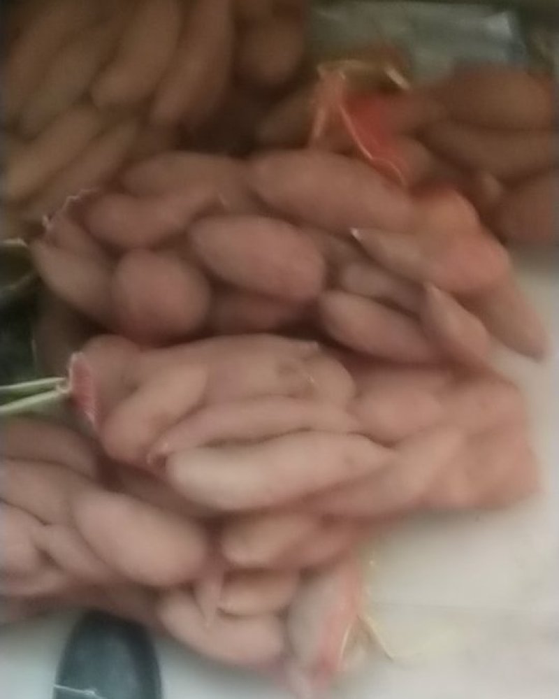 红薯西瓜红，