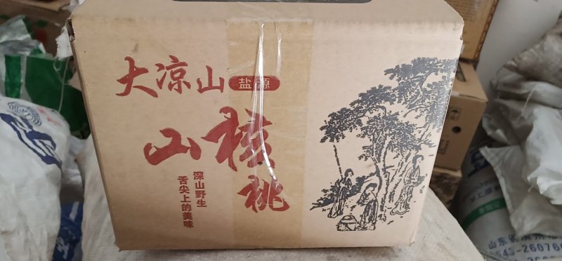 四川省大凉山老树核桃仁精选