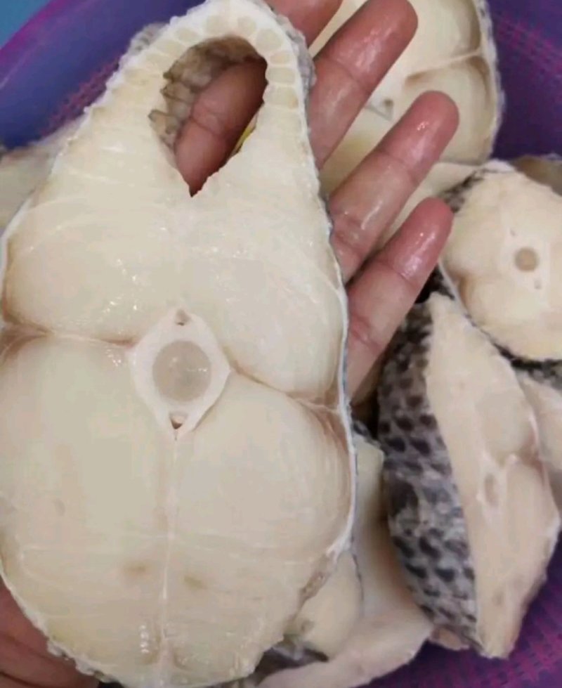 鳕鱼片，马鲛鱼片，马友鱼片，可。