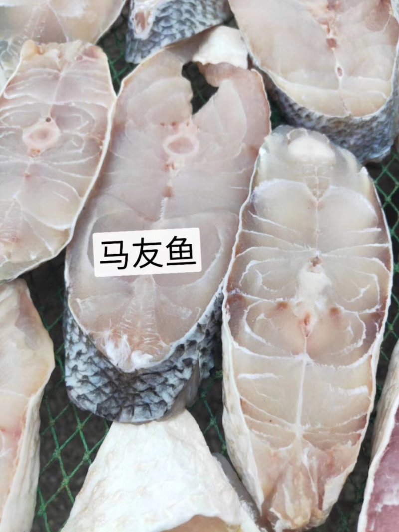 鳕鱼片，马鲛鱼片，马友鱼片，可。