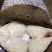 鳕鱼片，马鲛鱼片，马友鱼片，可。