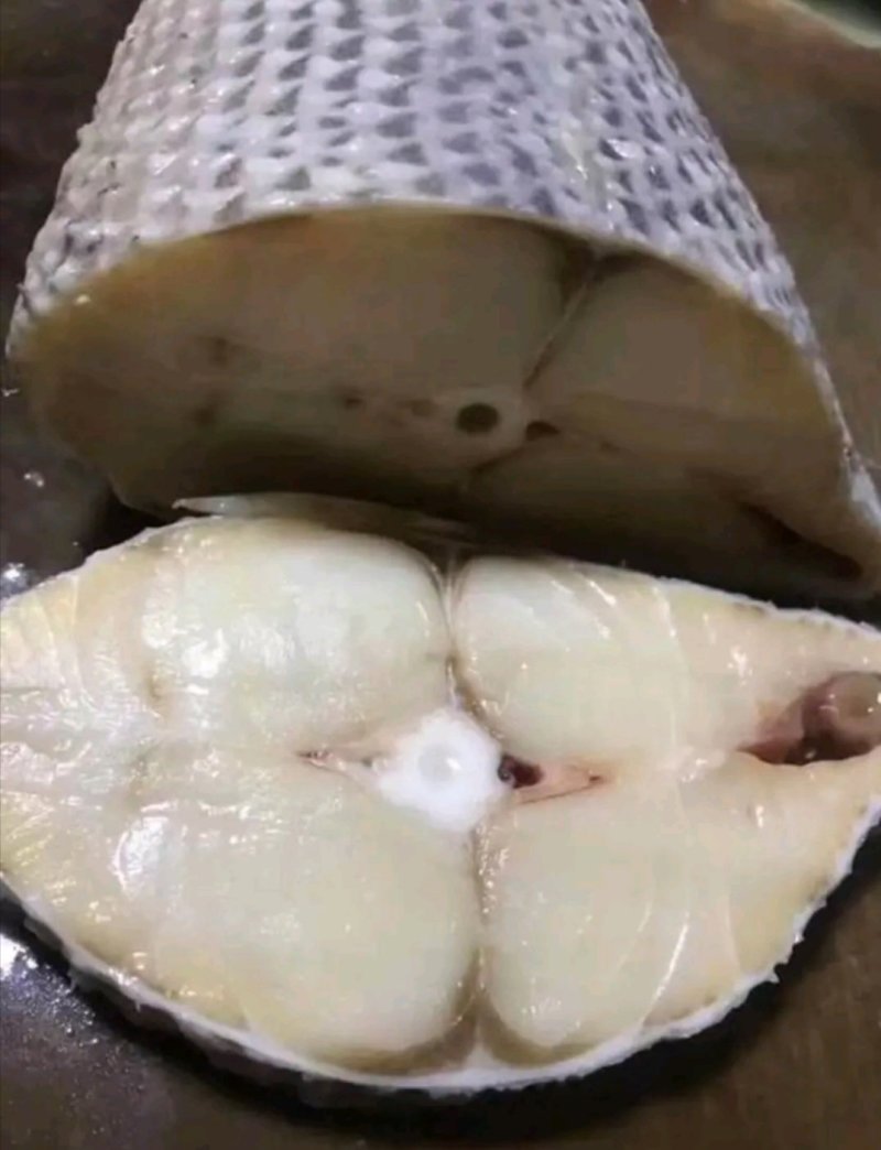 鳕鱼片，马鲛鱼片，马友鱼片，可。