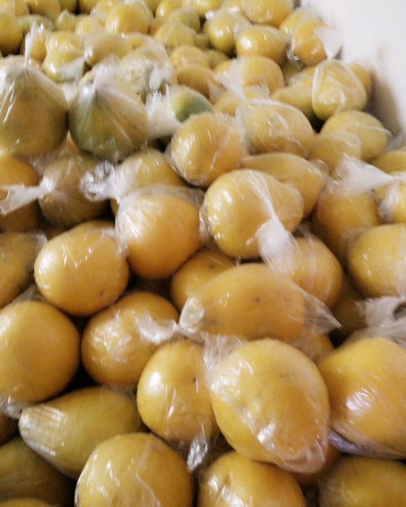 精品香柚，柚惑挡不住