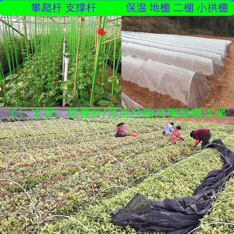 保温内棚拱棚育苗小拱棚避雨棚西瓜棚小弓棚内棚