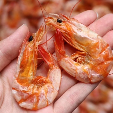 直销批发大号特级对虾干1斤装160只即食烤虾干