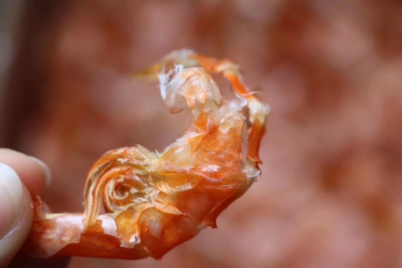 直销批发大号特级对虾干1斤装160只即食烤虾干