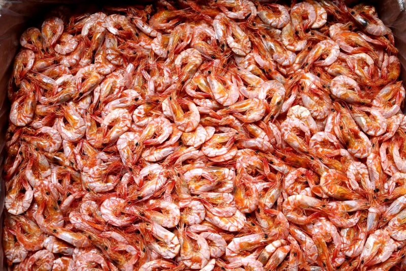 直销批发大号特级对虾干1斤装160只即食烤虾干