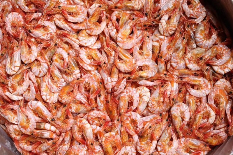 直销批发大号特级对虾干1斤装160只即食烤虾干