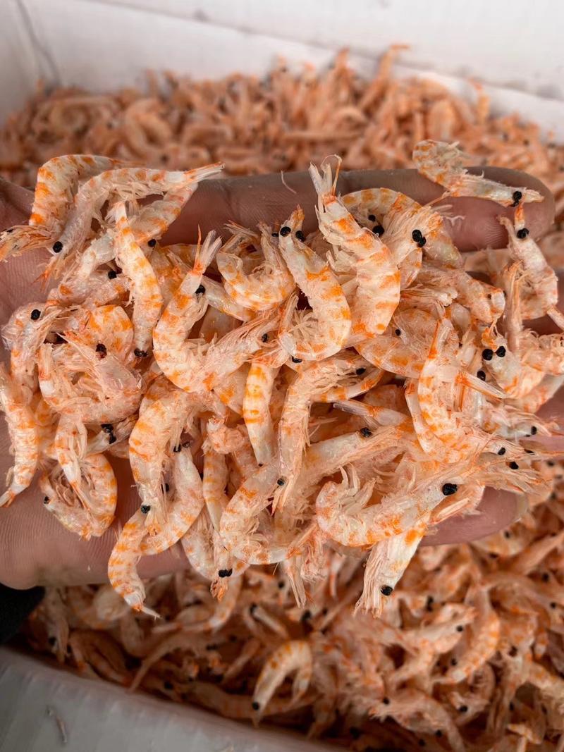 南极磷虾干麟虾干品厂家一手货源加工地摊货源