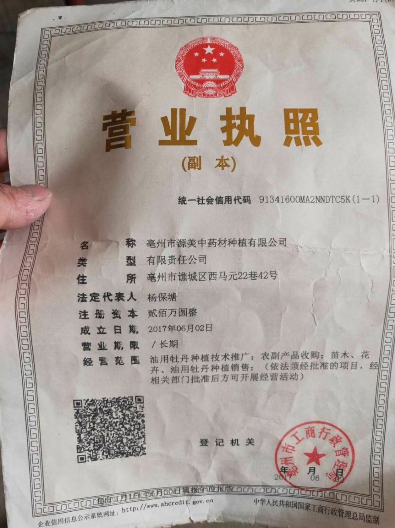 生地种苗优质货源产地直发保证品质