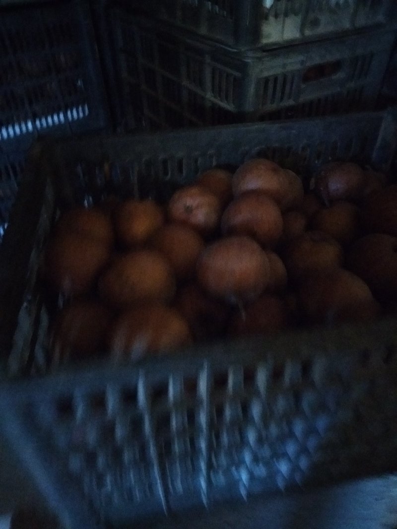 软儿梨