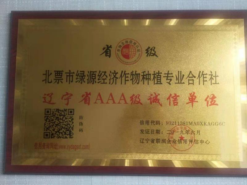 文冠果种子大连文冠果种子价格2019年新文冠果种子