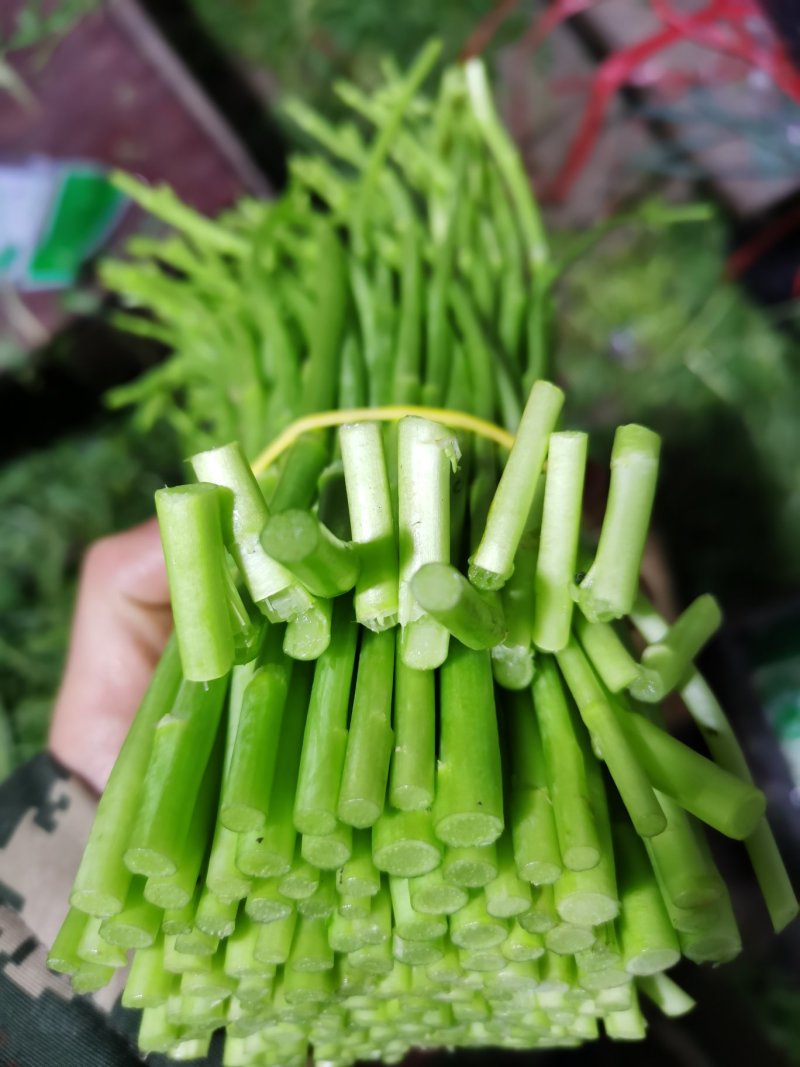 昆明芦蒿，自有家庭农场，品质货源保证