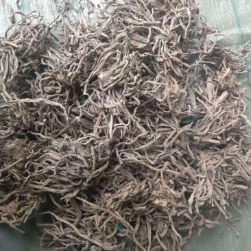 萱草根，金针根