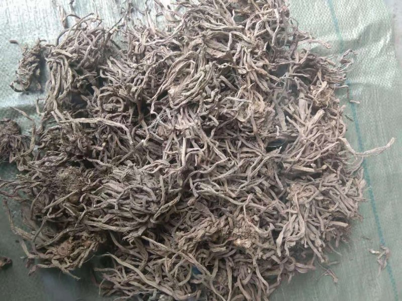 萱草根，金针根