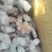 20吨越南代头虾和黑虎虾