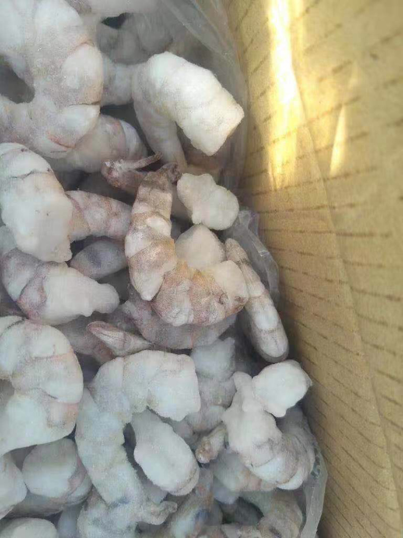 20吨越南代头虾和黑虎虾