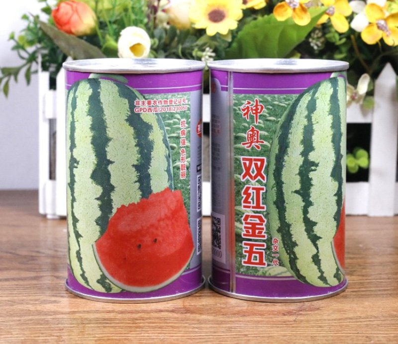 神奥双红金五西瓜种子纯正双红瓤高产抗病大果乳黄花皮压沙瓜