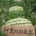 神奥双红金五西瓜种子纯正双红瓤高产抗病大果乳黄花皮压沙瓜