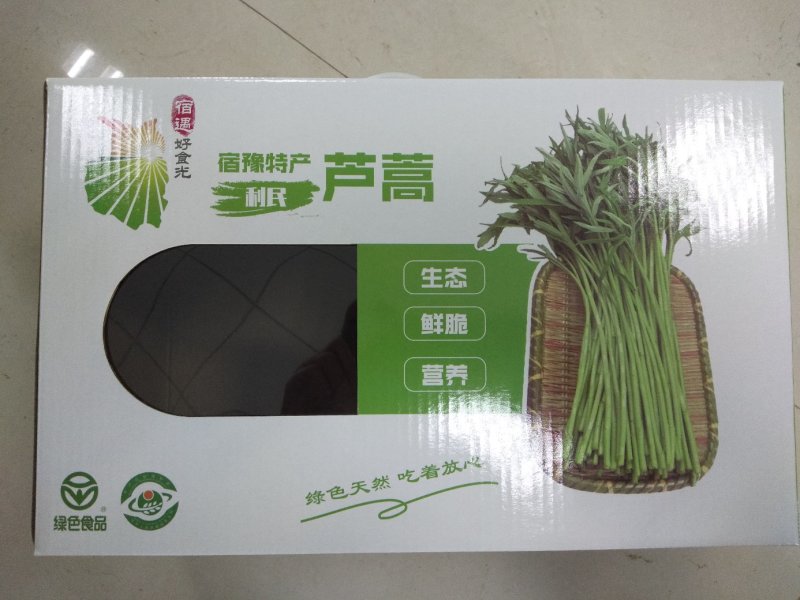 芦蒿（江苏芦蒿)翠绿青蒿，黎蒿，毛蒿质量优