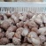鲜香菇，以808和9608为主