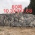 造型松，黑松，景松，迎客松，黑松造型树大量现货基地直发