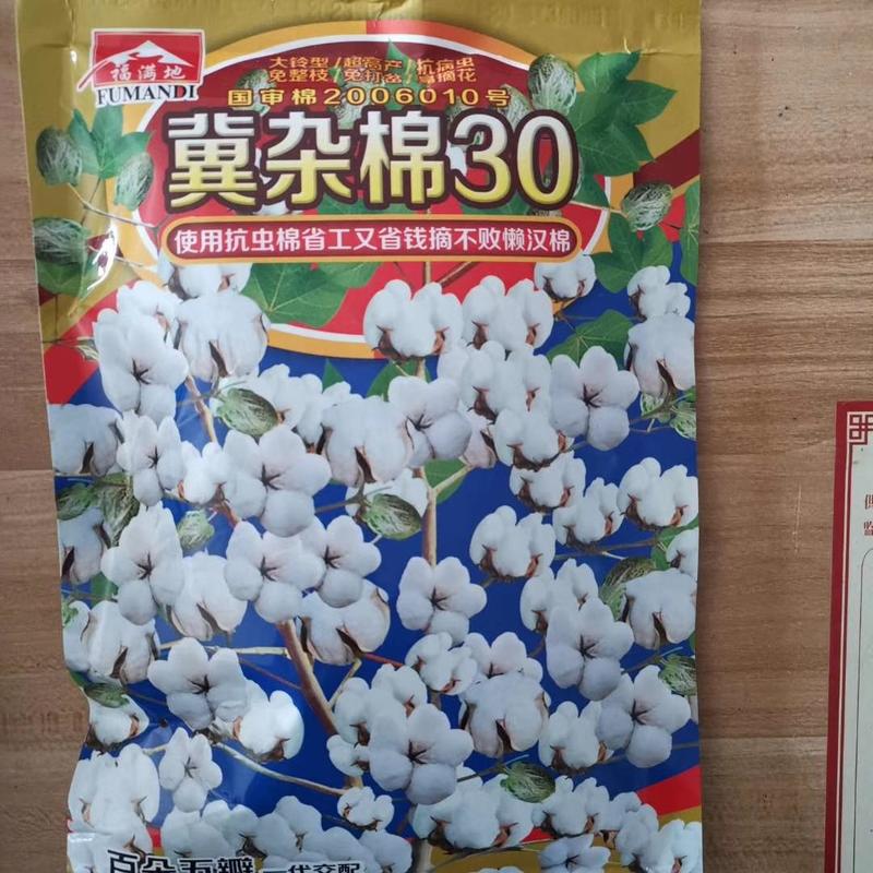 鲁棉研30棉花种子大铃型高产抗病虫易摘花
