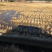 240亩茭瓜地出租，在曲靖马龙