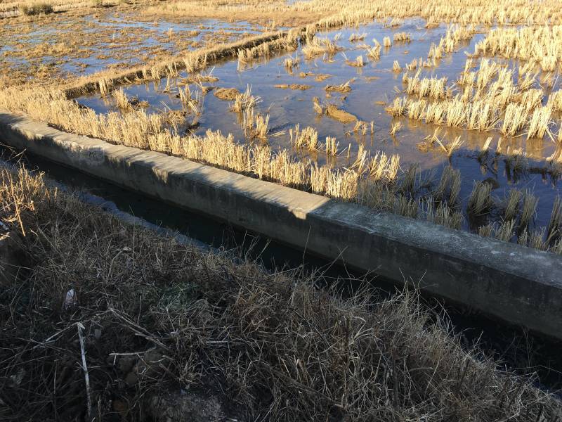 240亩茭瓜地出租，在曲靖马龙