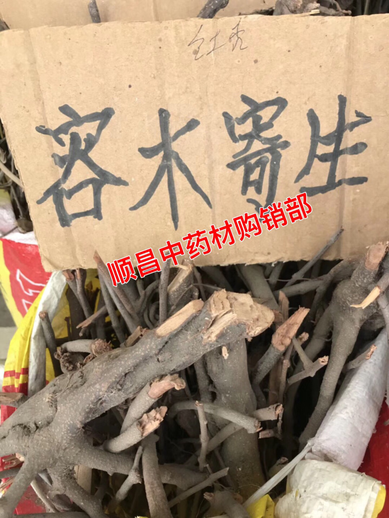 大货供应各种｛寄生、寄生茶｝均有货可批量可零售【包邮】