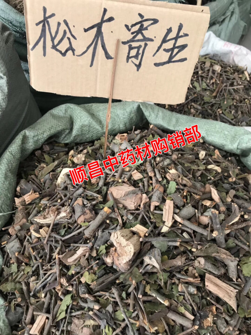 大货供应各种｛寄生、寄生茶｝均有货可批量可零售【包邮】