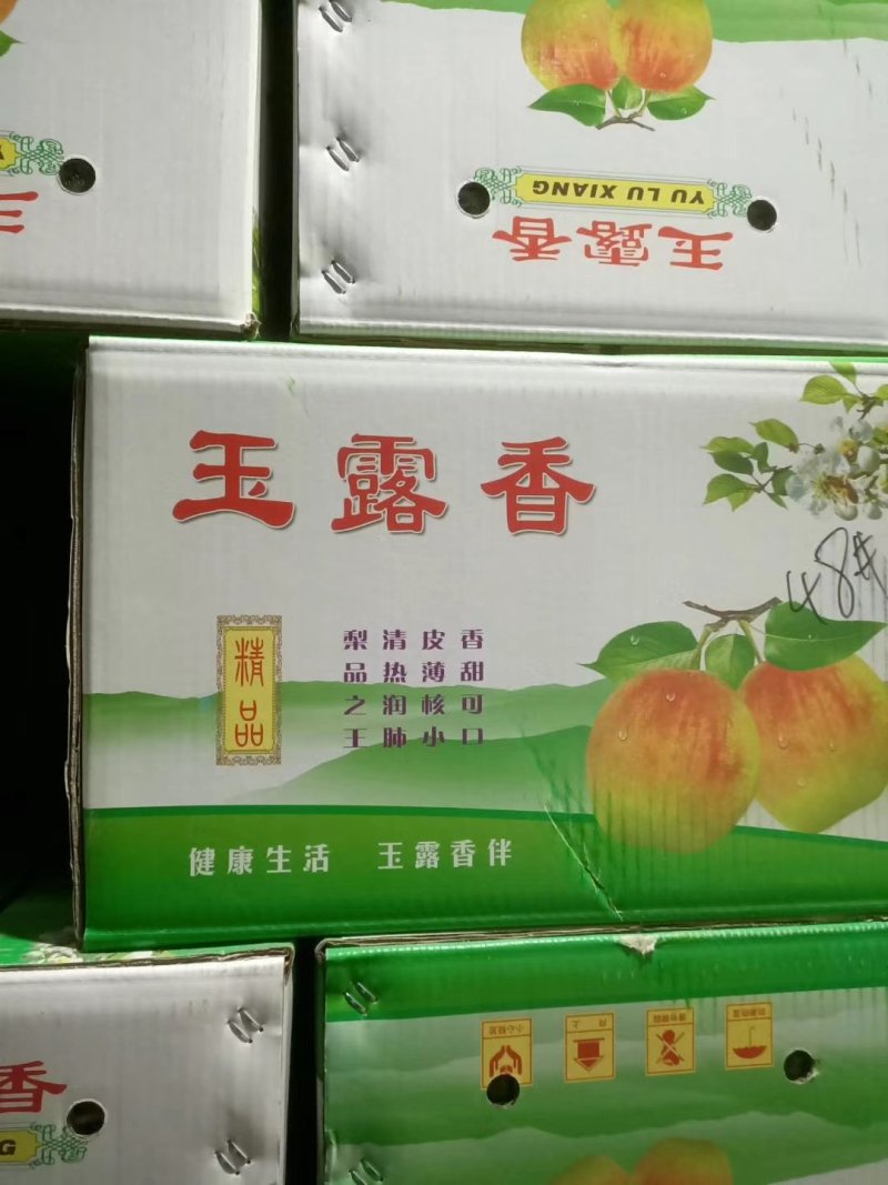 玉露香梨香梨，赵县主产区全年有货，价格合理