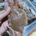 肉蟹扁蟹拥剑梭子蟹3-4只/斤清蒸爆炒都可