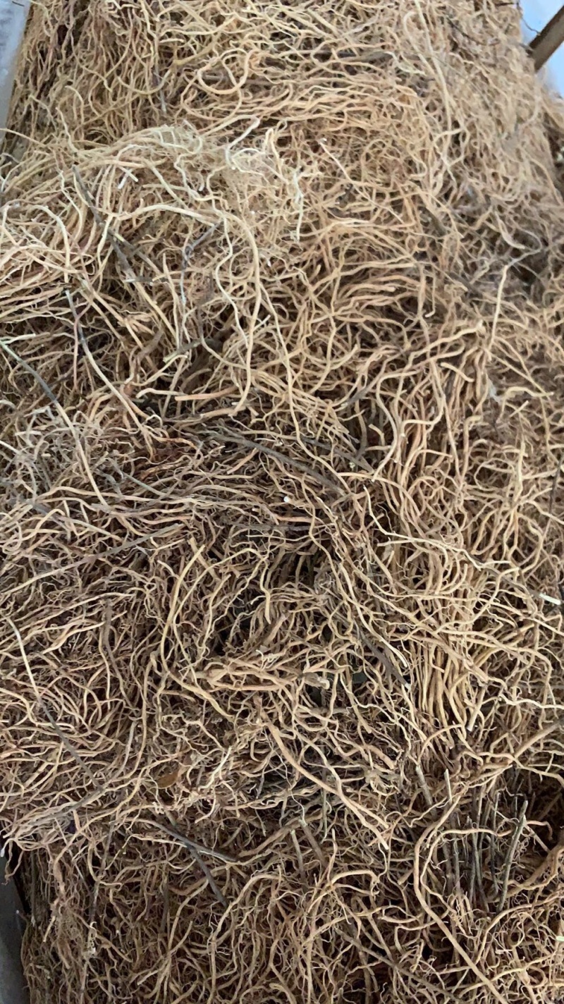 徐长卿又名了刁竹足干新货靓全株及纯根阴枝